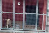 Waterfall Engineering - Dog Kennels - Welding Cork
